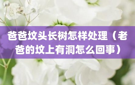 爸爸坟头长树怎样处理（老爸的坟上有洞怎么回事）