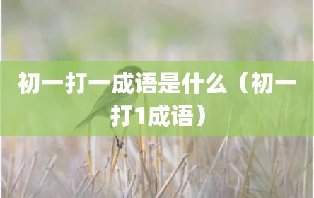 初一打一成语是什么（初一打1成语）