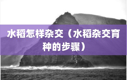 水稻怎样杂交（水稻杂交育种的步骤）