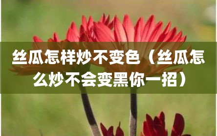 丝瓜怎样炒不变色（丝瓜怎么炒不会变黑你一招）