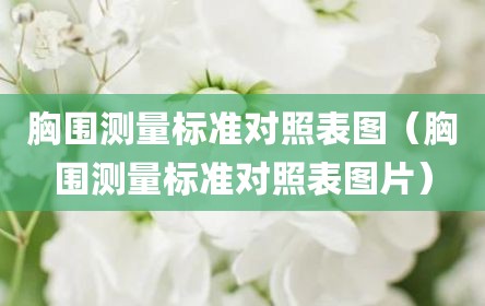 胸围测量标准对照表图（胸围测量标准对照表图片）