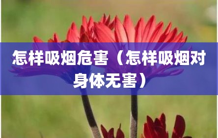 怎样吸烟危害（怎样吸烟对身体无害）
