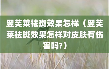 翌芙莱祛斑效果怎样（翌芙莱祛斑效果怎样对皮肤有伤害吗?）