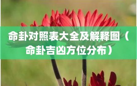 命卦对照表大全及解释图（命卦吉凶方位分布）