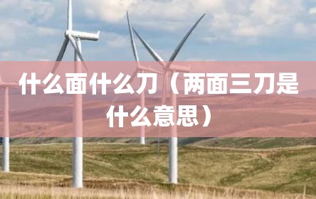 什么面什么刀（两面三刀是什么意思）