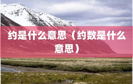 约是什么意思（约数是什么意思）