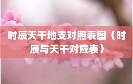 时辰天干地支对照表图（时辰与天干对应表）