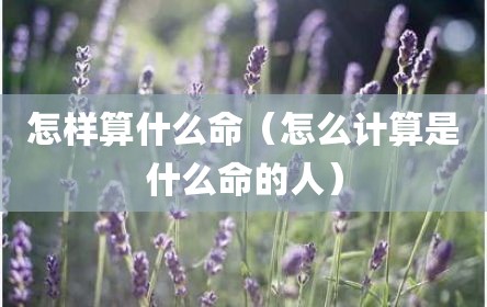 怎样算什么命（怎么计算是什么命的人）