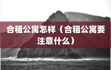 合租公寓怎样（合租公寓要注意什么）