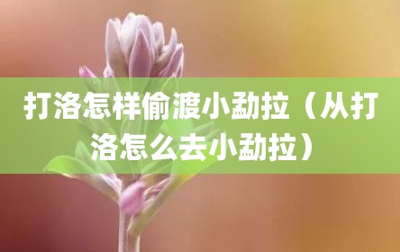 打洛怎样偷渡小勐拉（从打洛怎么去小勐拉）