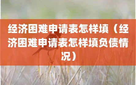 经济困难申请表怎样填（经济困难申请表怎样填负债情况）