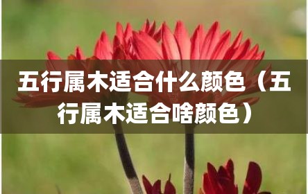 五行属木适合什么颜色（五行属木适合啥颜色）