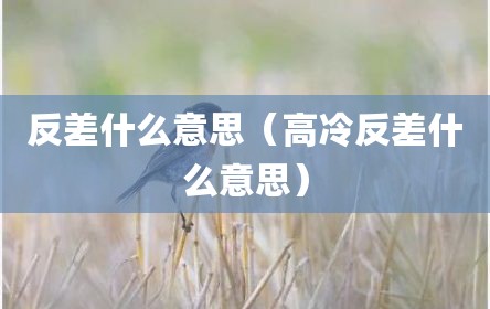 反差什么意思（高冷反差什么意思）