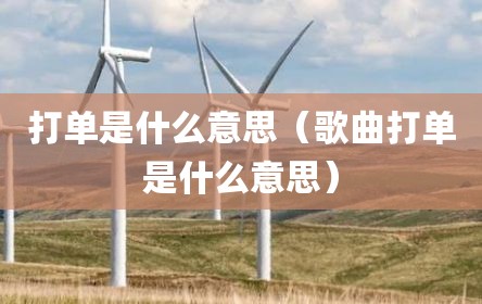 打单是什么意思（歌曲打单是什么意思）
