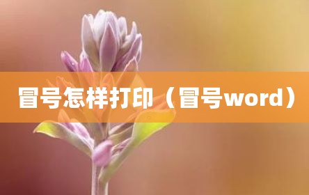 冒号怎样打印（冒号word）