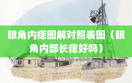 眼角内痣图解对照表图（眼角内部长痣好吗）