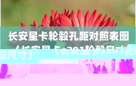 长安星卡轮毂孔距对照表图（长安星卡s201轮毂尺寸）