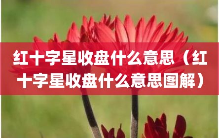 红十字星收盘什么意思（红十字星收盘什么意思图解）