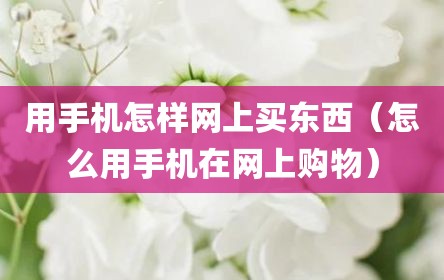 用手机怎样网上买东西（怎么用手机在网上购物）