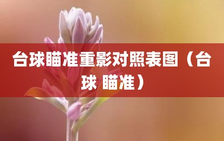 台球瞄准重影对照表图（台球 瞄准）