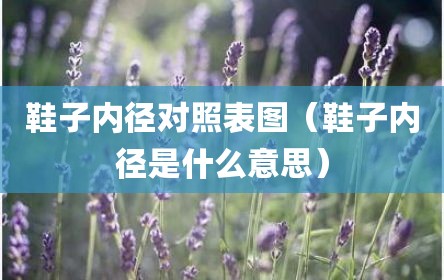 鞋子内径对照表图（鞋子内径是什么意思）