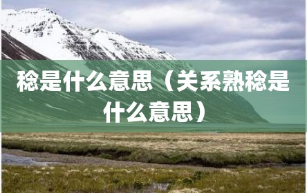 稔是什么意思（关系熟稔是什么意思）