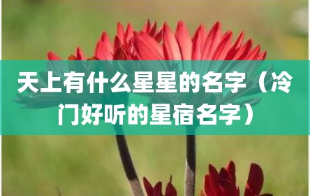 天上有什么星星的名字（冷门好听的星宿名字）