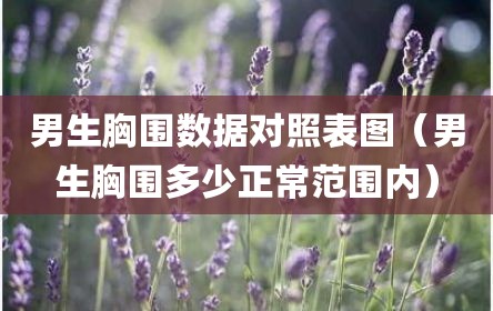 男生胸围数据对照表图（男生胸围多少正常范围内）