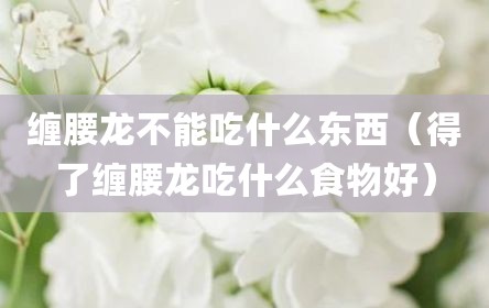 缠腰龙不能吃什么东西（得了缠腰龙吃什么食物好）