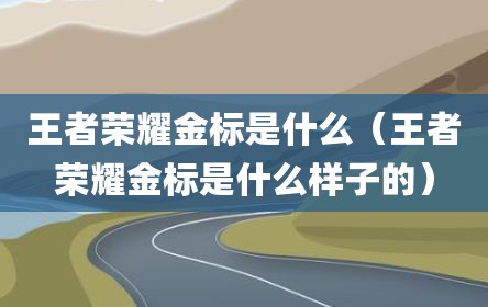 王者荣耀金标是什么（王者荣耀金标是什么样子的）