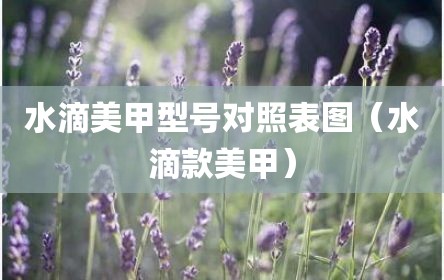 水滴美甲型号对照表图（水滴款美甲）
