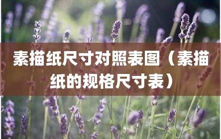 素描纸尺寸对照表图（素描纸的规格尺寸表）
