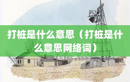打桩是什么意思（打桩是什么意思网络词）