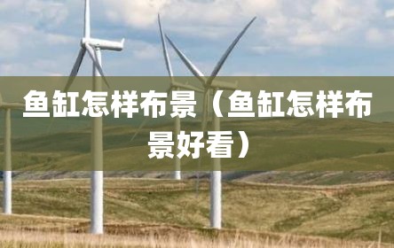 鱼缸怎样布景（鱼缸怎样布景好看）