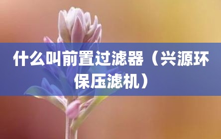什么叫前置过滤器（兴源环保压滤机）
