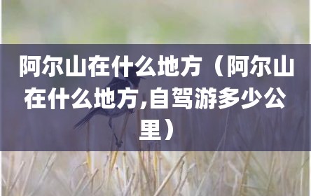 阿尔山在什么地方（阿尔山在什么地方,自驾游多少公里）
