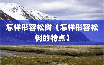 怎样形容松树（怎样形容松树的特点）