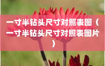 一寸半钻头尺寸对照表图（一寸半钻头尺寸对照表图片）