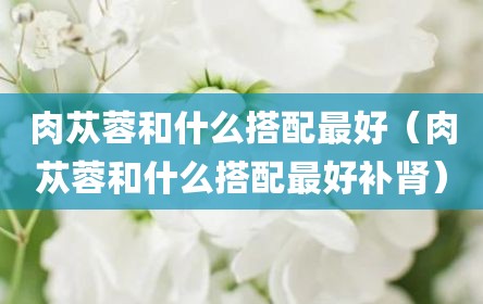 肉苁蓉和什么搭配最好（肉苁蓉和什么搭配最好补肾）