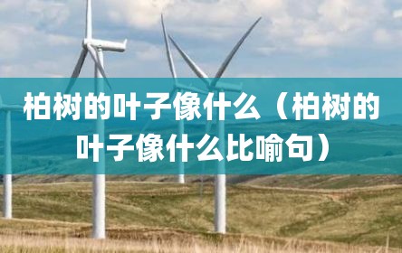 柏树的叶子像什么（柏树的叶子像什么比喻句）