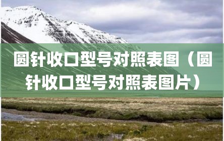 圆针收口型号对照表图（圆针收口型号对照表图片）