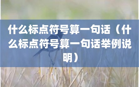 什么标点符号算一句话（什么标点符号算一句话举例说明）