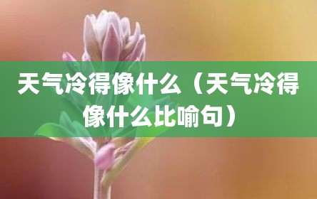 天气冷得像什么（天气冷得像什么比喻句）