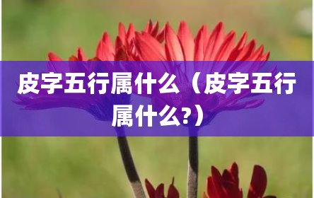 皮字五行属什么（皮字五行属什么?）