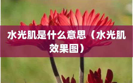 水光肌是什么意思（水光肌效果图）