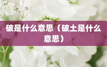 破是什么意思（破土是什么意思）