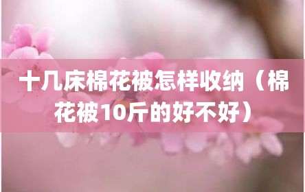 十几床棉花被怎样收纳（棉花被10斤的好不好）