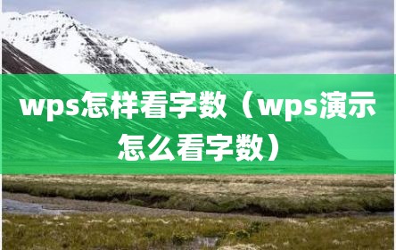 wps怎样看字数（wps演示怎么看字数）