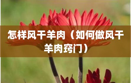 怎样风干羊肉（如何做风干羊肉窍门）