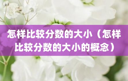 怎样比较分数的大小（怎样比较分数的大小的概念）